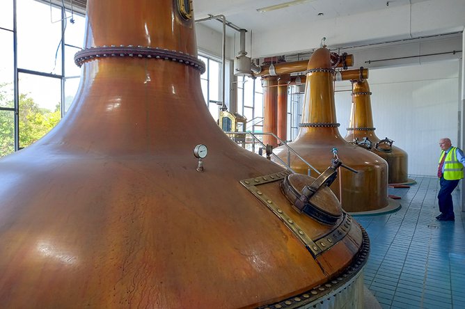 GND_PotStills_20220825_112452_by_NeilSaad_lowres