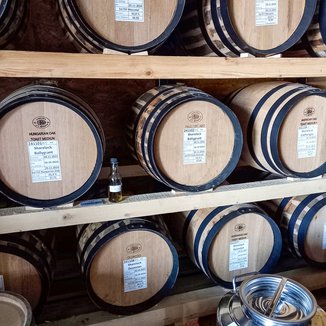 Sharelock_Fasslager-1_by_KayHoffmann